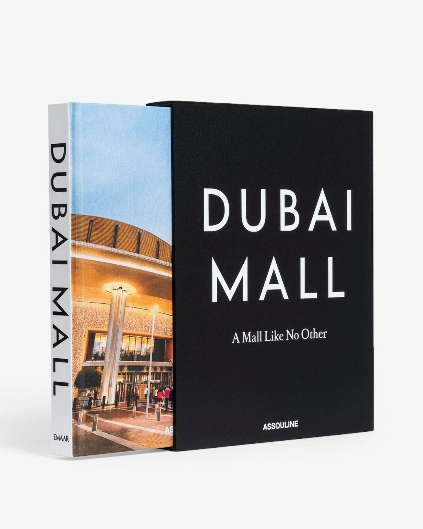 ASSOULINE Travel|Dubai Mall: A Mall Like No Other