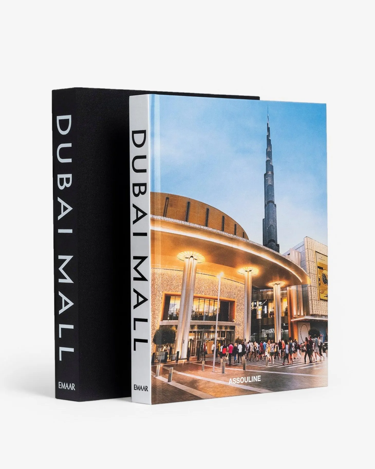 ASSOULINE Travel|Dubai Mall: A Mall Like No Other