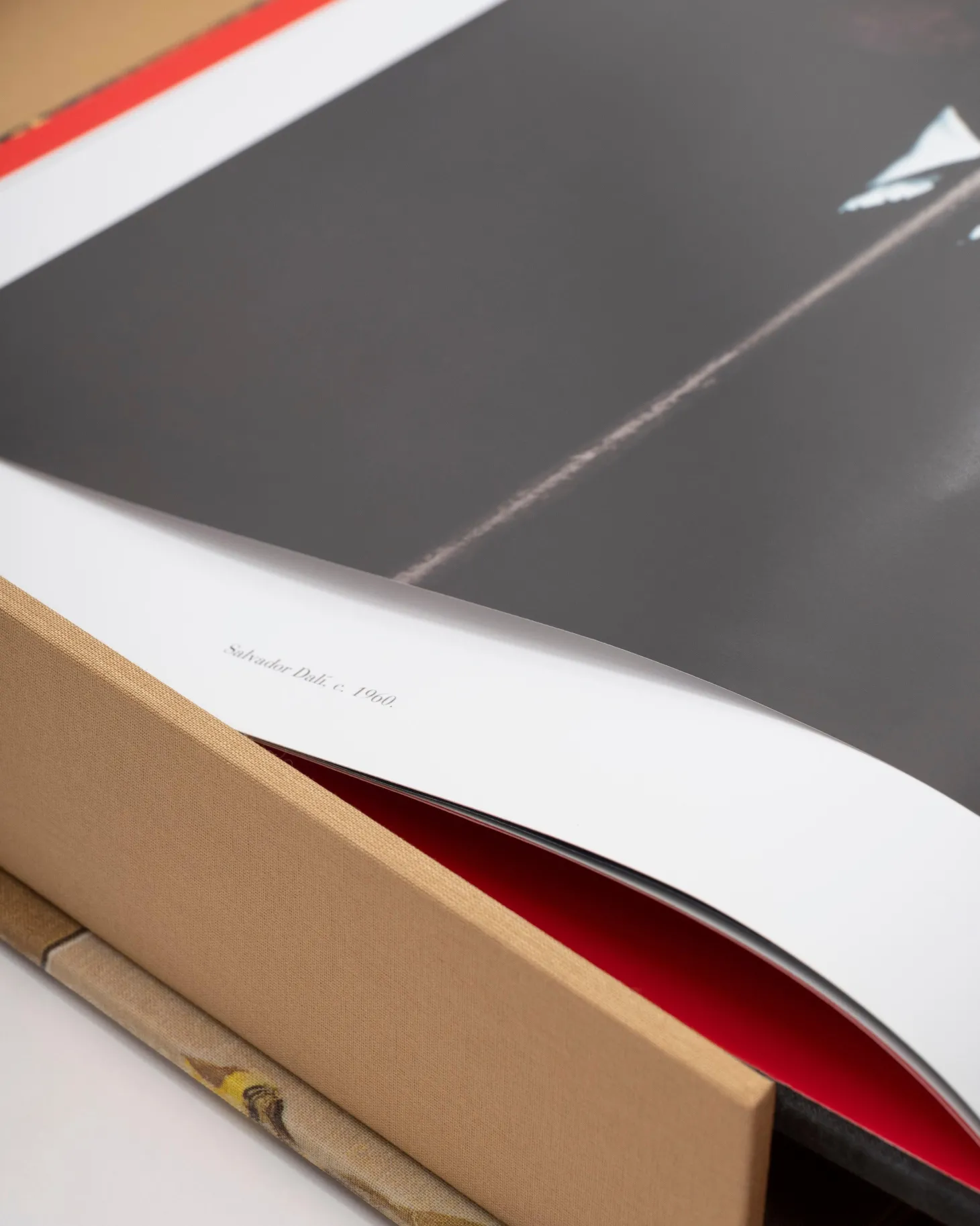 ASSOULINE Art|Salvador Dalí: The Impossible Collection