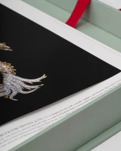 ASSOULINE Jewelry & Watches|The Impossible Collection of Jewelry