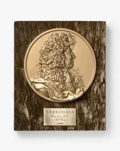 ASSOULINE Art|Architecture & Design|Versailles: From Louis XIV to Jeff Koons (Special Edition)
